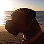 HADES participe au concours pour gagner de l'argent avec cette photo :