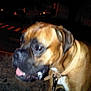 HADES participe au concours pour gagner de l'argent avec cette photo :