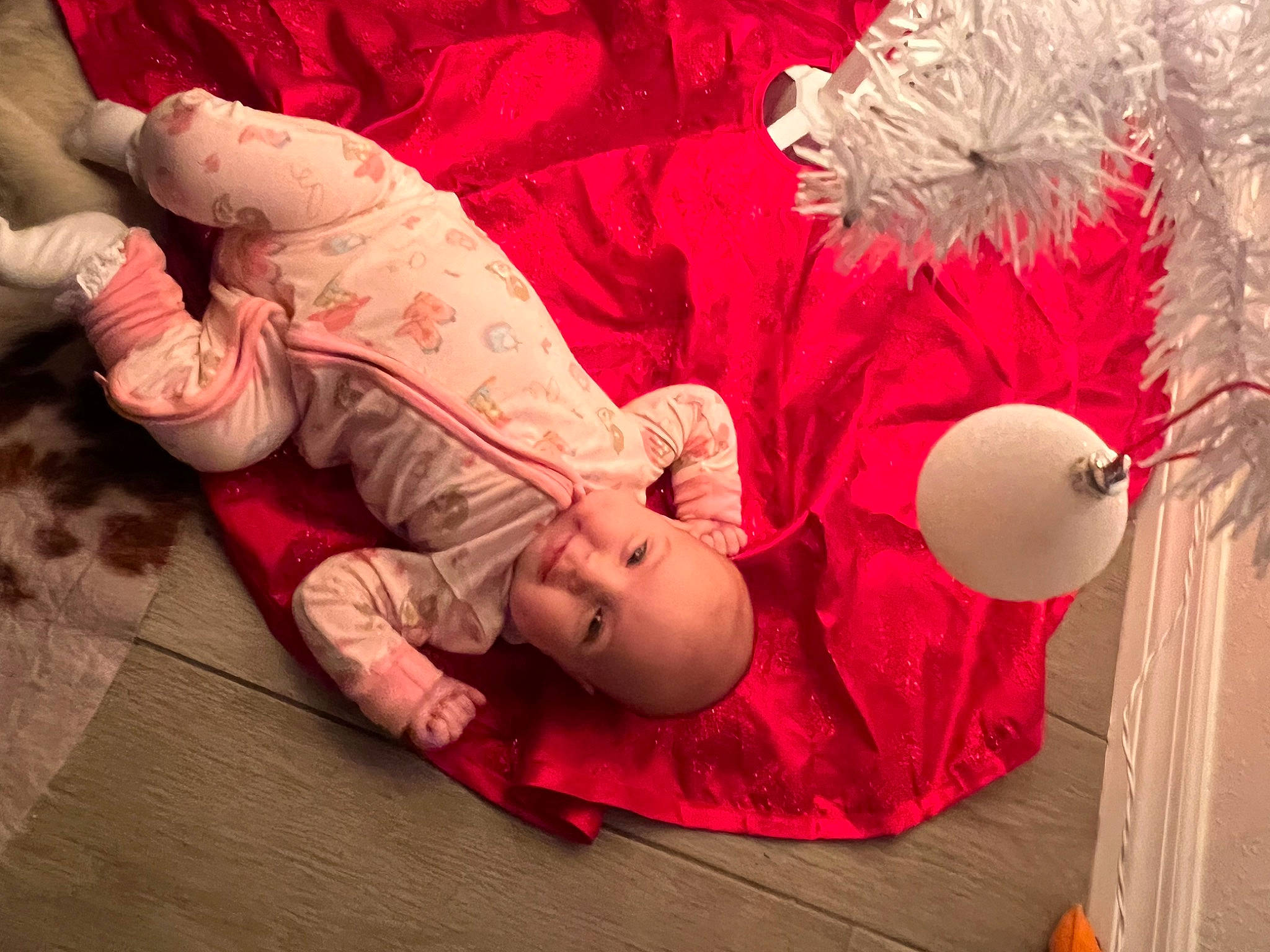 Paisley is registered to the contest to win money with this photo: abdomen, baby, child, comfort, dress, event, flash_photography, flooring, happy, human_body, human_leg, magenta, person, pink, skin, teddy_bear, thigh, toddler, toy, tree