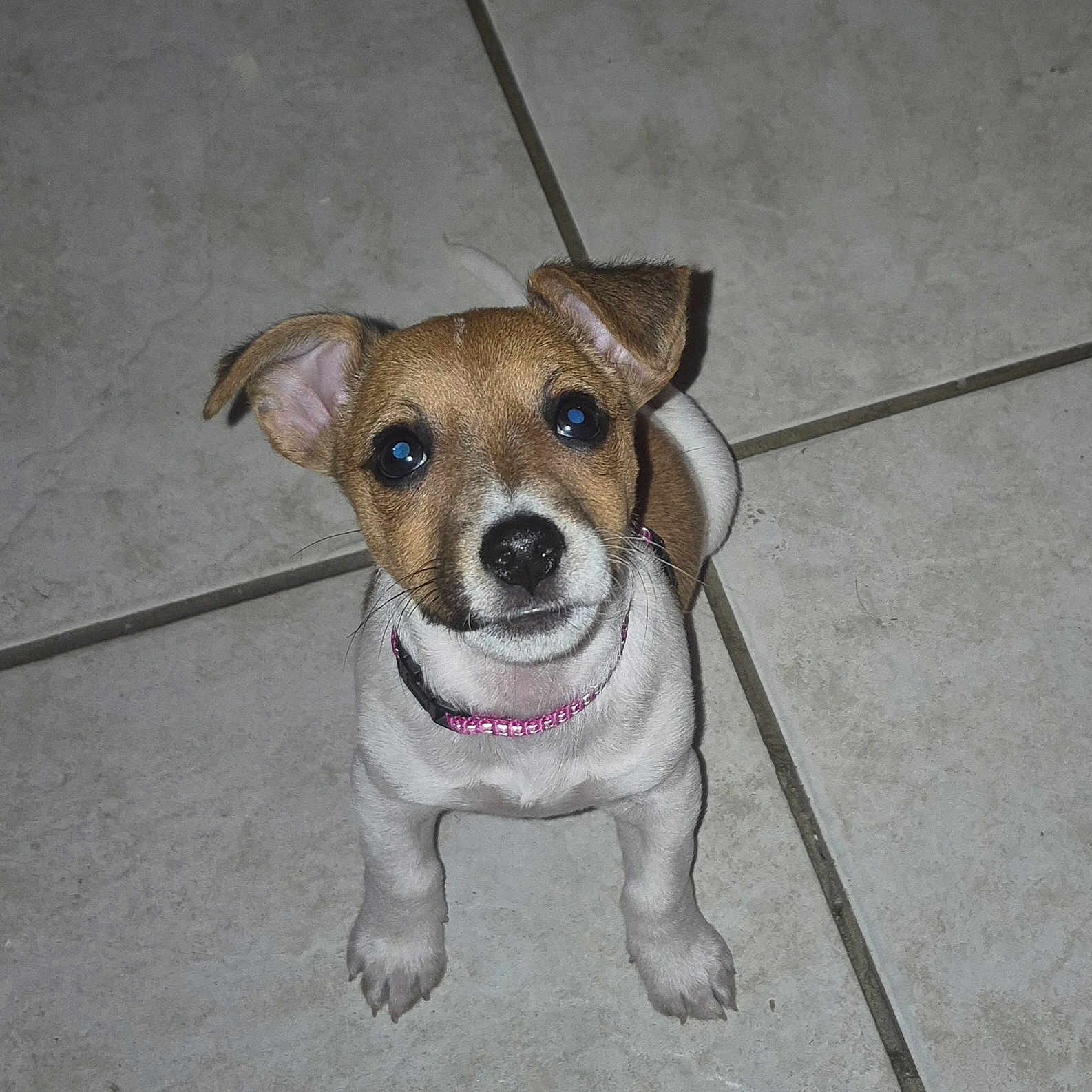 Aimy