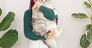 Mowgli a rejoint le concours — aidez-le/la à gagner de superbes lots ! braids, casual_clothing, cat, cozy, domestic, fluffy_cat, greenery, holding, home, indoor, long_hair, pet, plant, portrait, relaxed, skirt, smile, sweater, white_wall, woman
