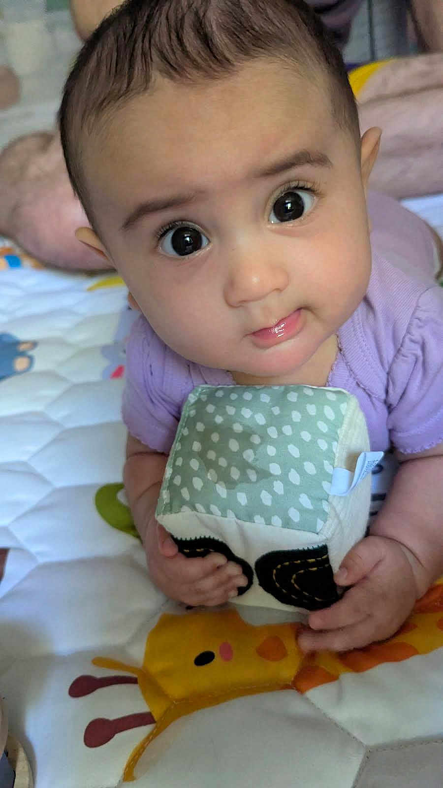 Sophia
