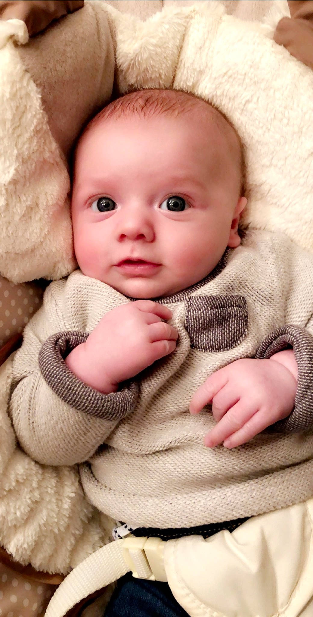 Donovan is registered to the contest to win money with this photo: baby, baby_sleeping, cheek, child, eye, face, finger, fur, hand, head, lip, nose, person, photography, pink, portrait_photography, skin, toddler