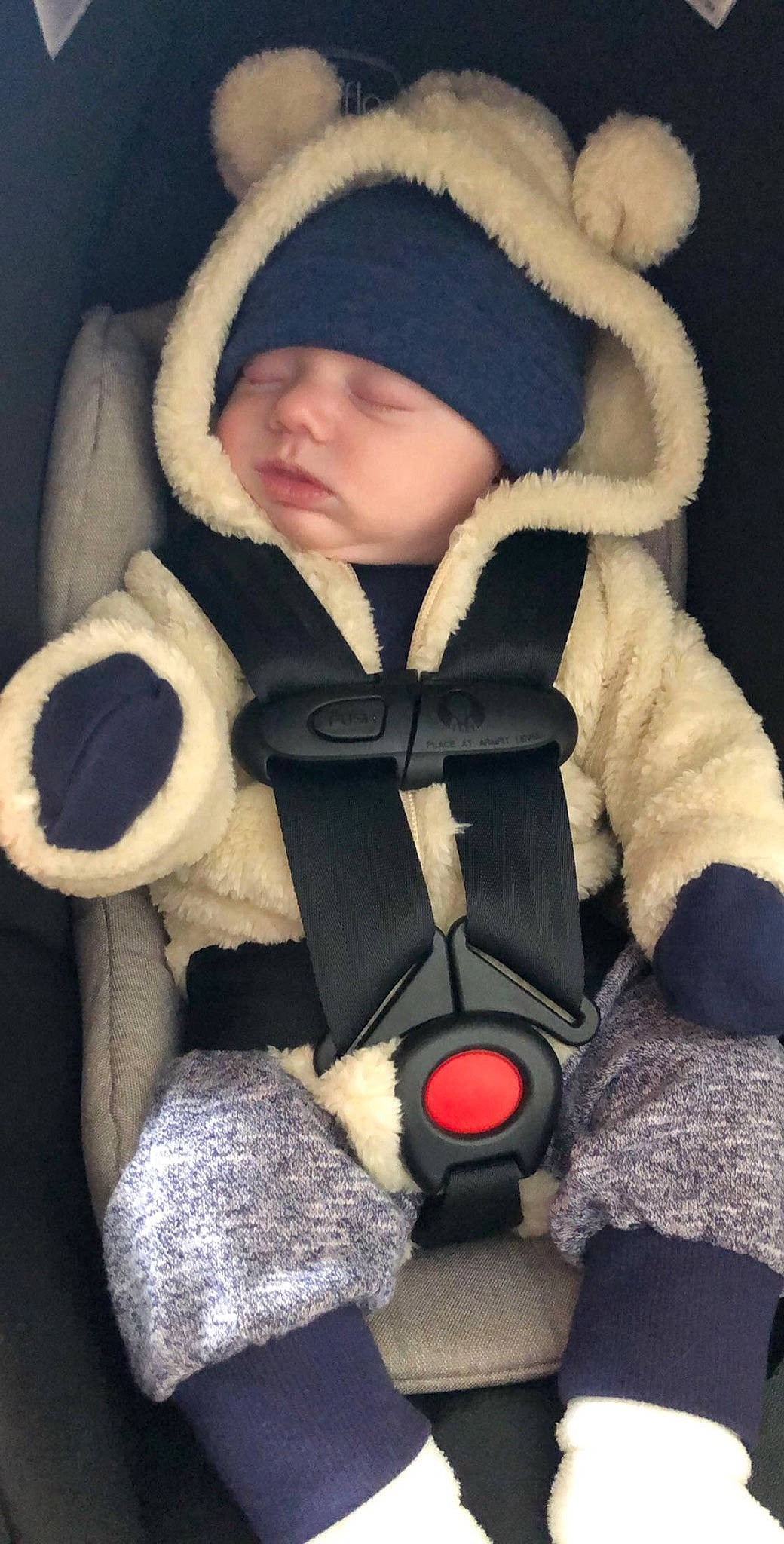 Donovan joined the competition — help win amazing prizes! baby_carriage, baby_in_car_seat, baby_products, beige, car_seat, child, fur, headwear, person, product, stuffed_toy