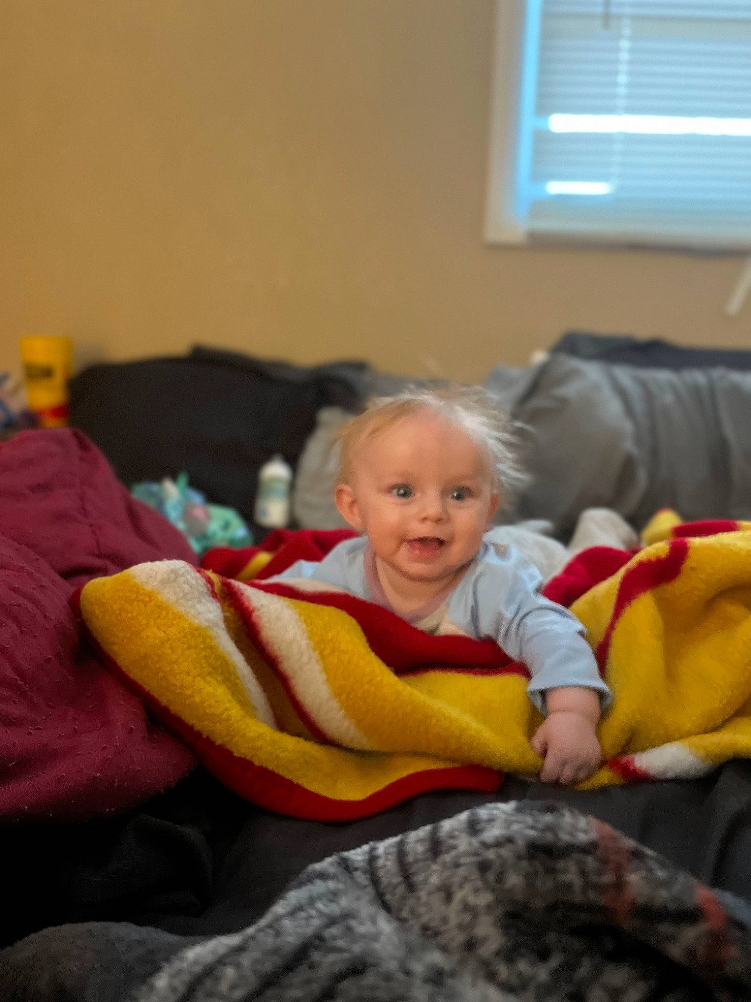 Jade joined the competition — help win amazing prizes! baby, baby_toddler_clothing, child, comfort, couch, flooring, fun, fur, happy, lap, linens, living_room, person, room, sitting, smile, toddler, vertebrate, window, window_blind