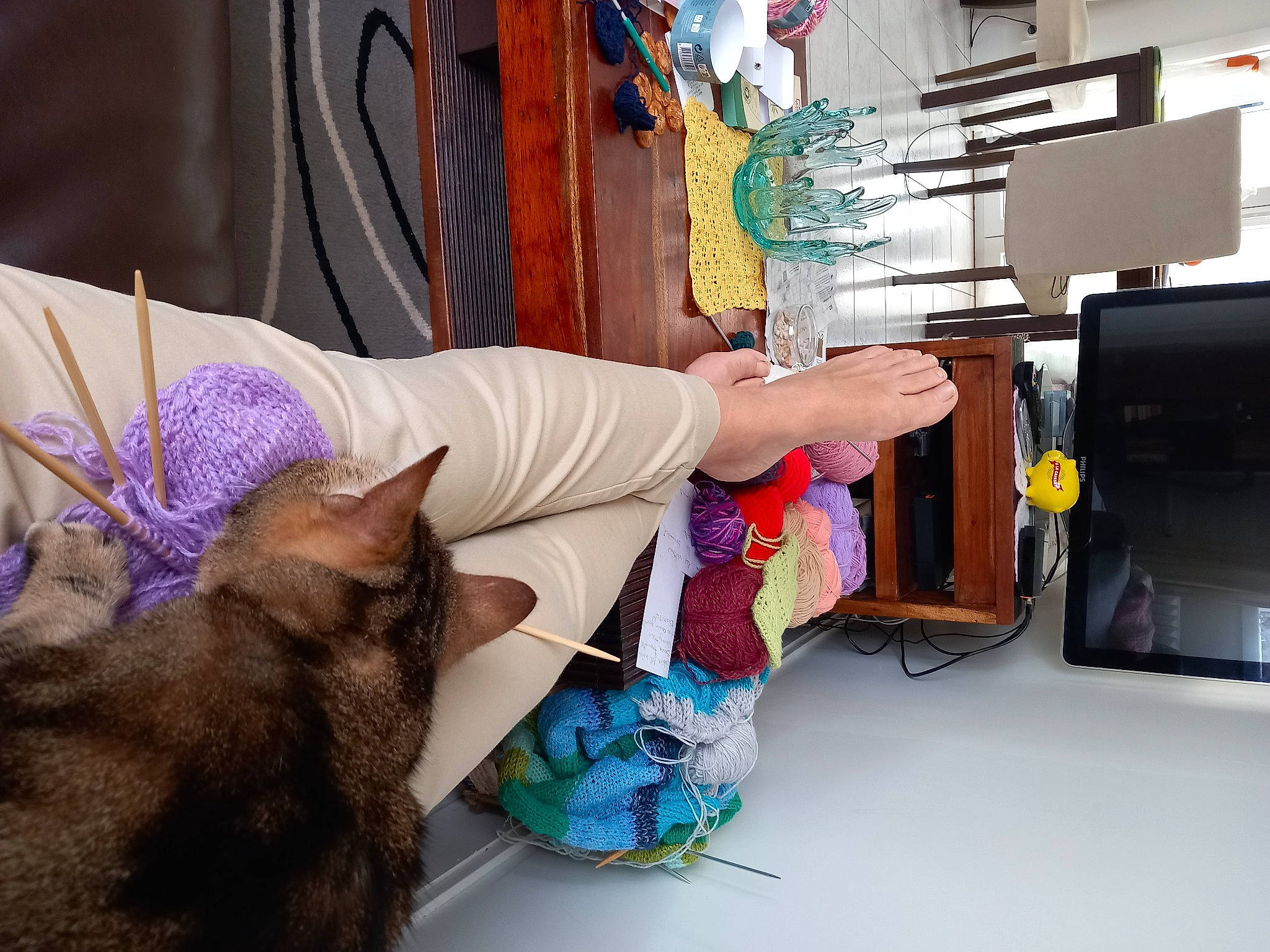 Sting a rejoint le concours — aidez-le/la à gagner de superbes lots ! art, artist, carnivore, cat, comfort, display_device, domestic_short_haired_cat, fawn, felidae, fur, lap, machine, purple, room, small_to_medium_sized_cats, tail, television_set, textile, visual_arts, whiskers