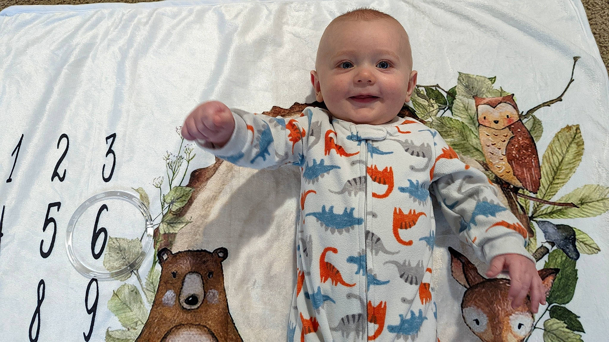 Forrest is registered to the contest to win money with this photo: adaptation, baby, baby_toddler_clothing, facial_expression, fawn, grass, happy, leaf, mammal, nose, organism, people, people_in_nature, person, skin, sleeve, smile, t_shirt, textile, toddler