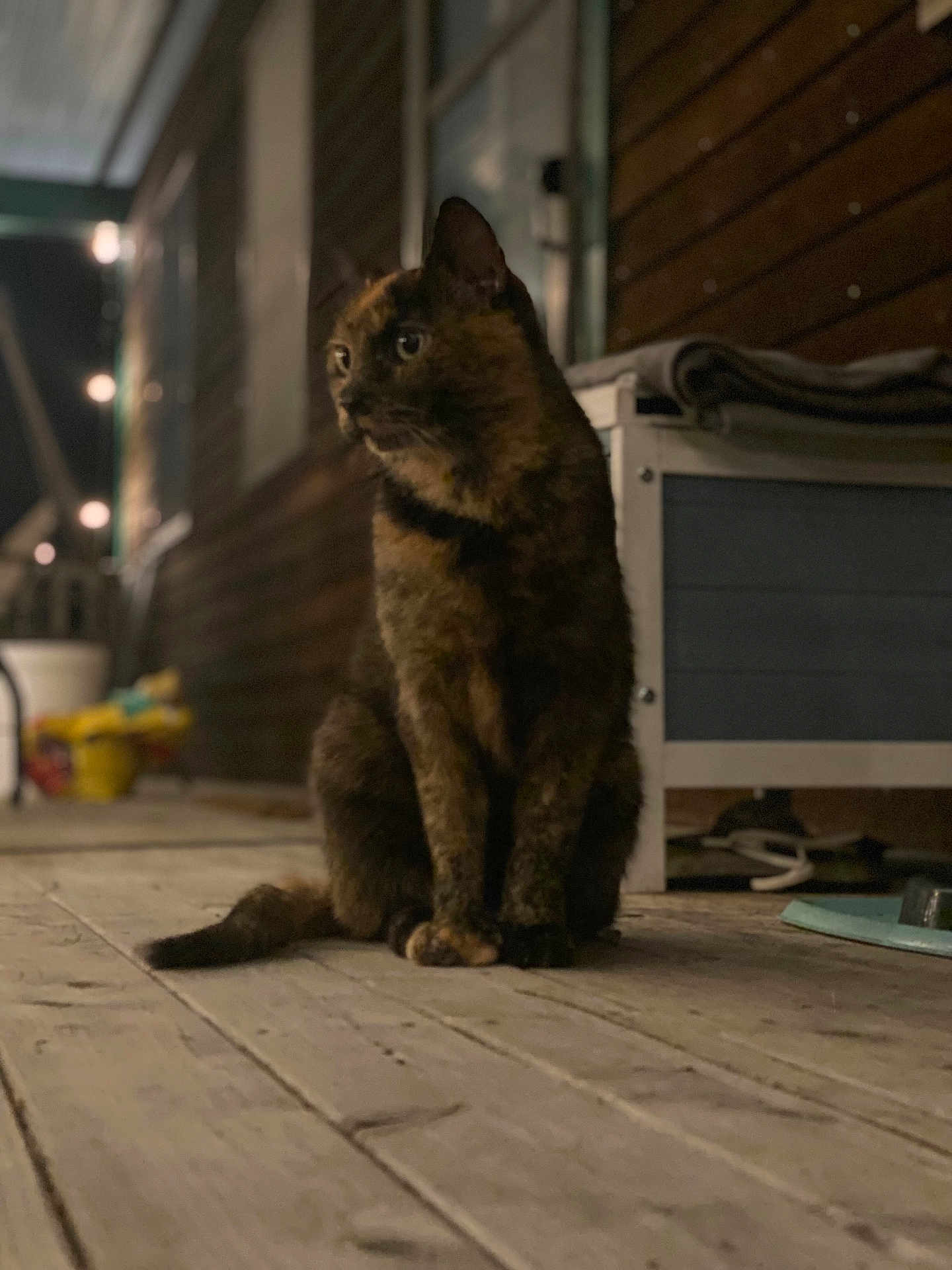 Chloe