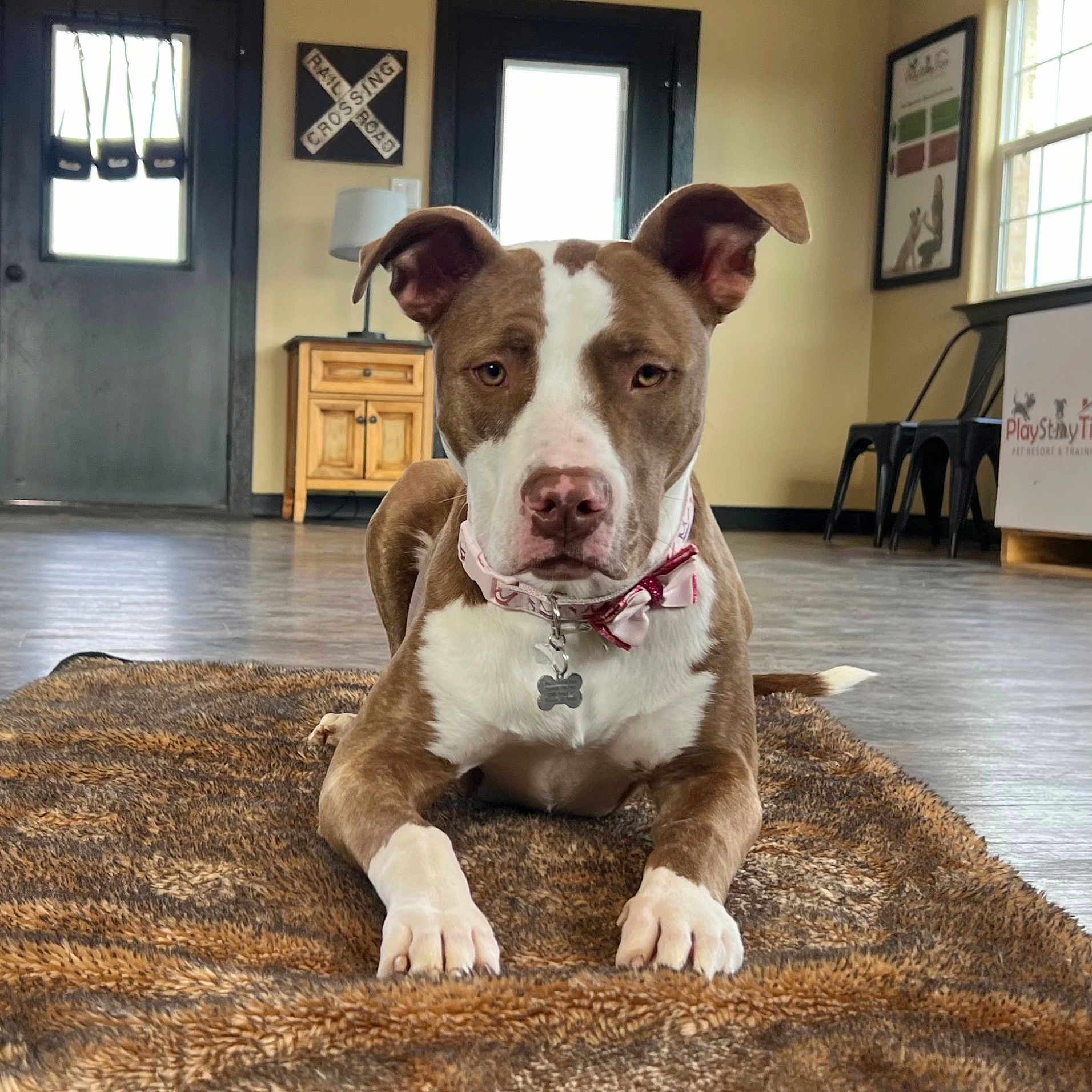 Coco