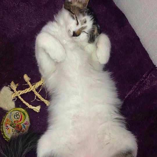 Osiris