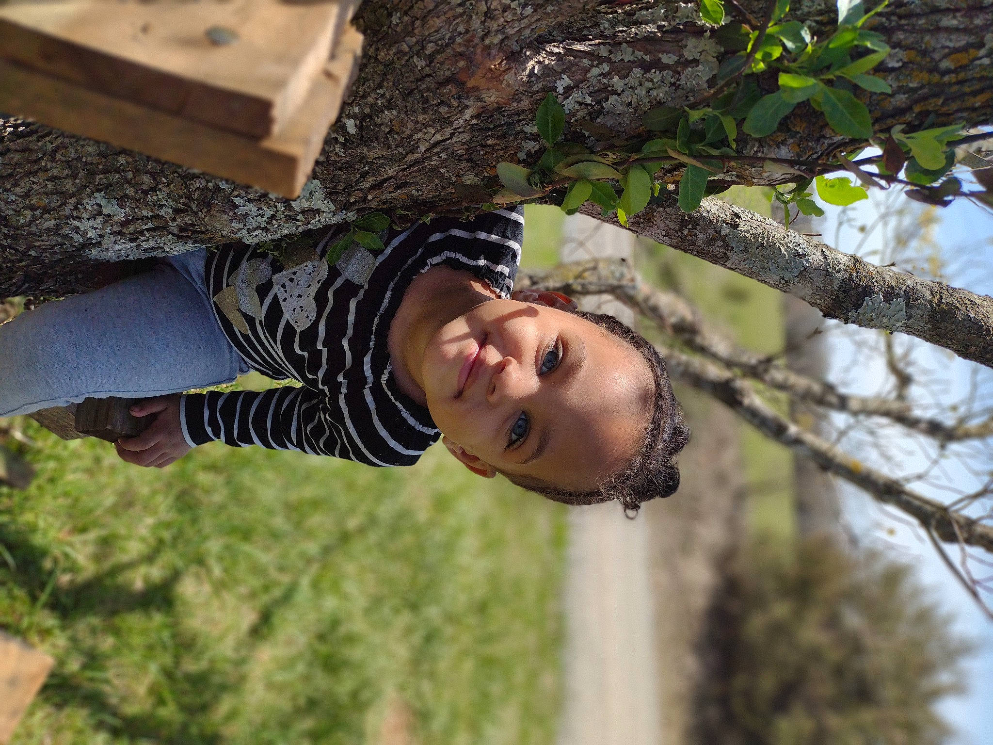 Aniyah is registered to the contest to win money with this photo: branch, child, eye, eyewear, flash_photography, fun, grass, happy, jewellery, joy, leisure, people_in_nature, person, personal_protective_equipment, recreation, smile, soil, tree, trunk, twig