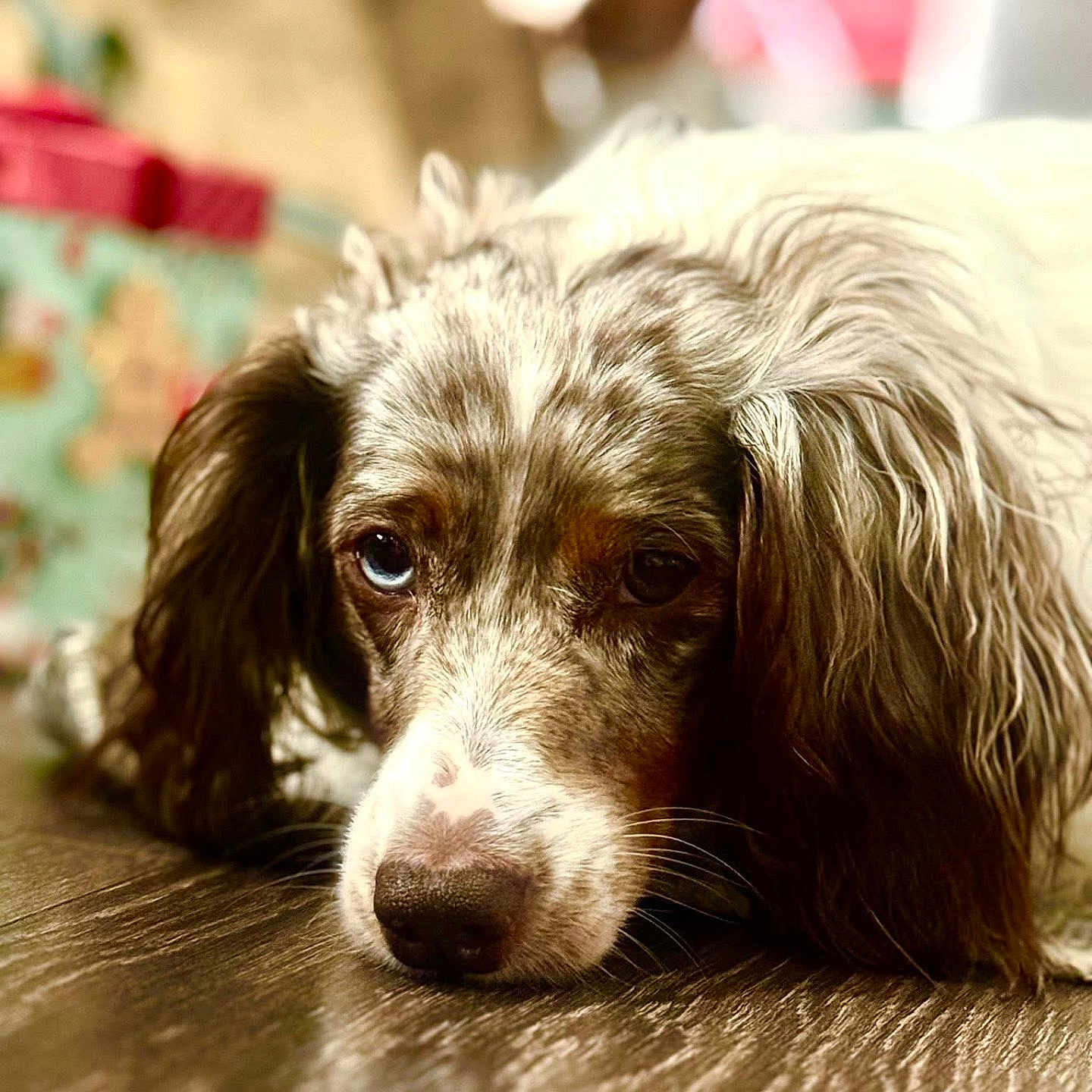 Rosie Grace