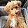 Alf