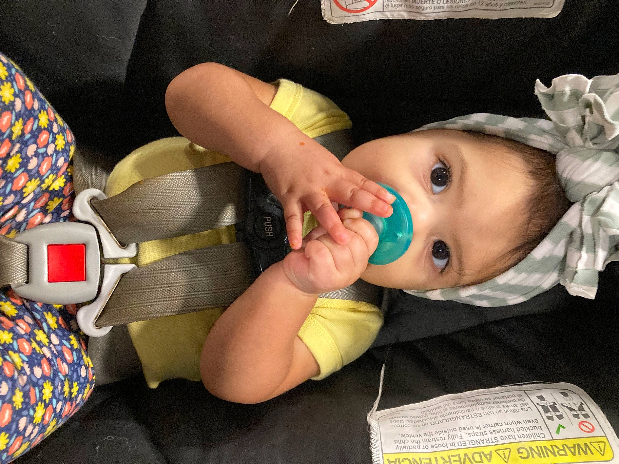 Annalise is registered to the contest to win money with this photo: arm, baby, baby_toddler_clothing, cheek, child, ear, eyelash, finger, gesture, hand, happy, human_body, mouth, nail, nose, people, person, skin, thumb, toddler