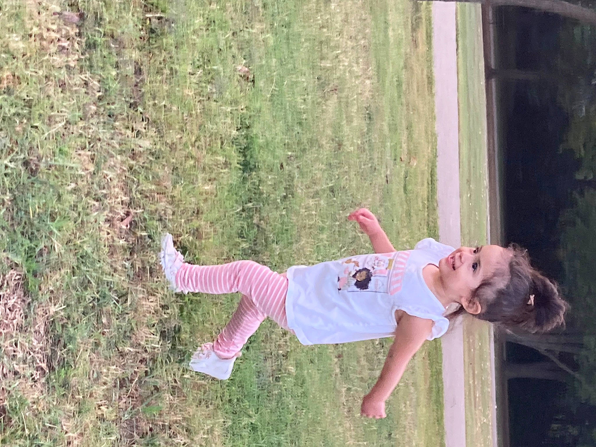 Evelyn is registered to the contest to win money with this photo: child, fun, grass, happy, joy, landscape, leisure, magenta, people_in_nature, person, plant, recreation, smile, toddler, tree, vehicle_door, window, yard