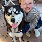 Kaira a rejoint le concours — aidez-le/la à gagner de superbes lots ! boy, child, dog, husky, blue_eyes, smiling, tongue_out, indoor, floor_tiles, white_chairs, clothing, gloves, jacket, sneakers, happy, pet, companion, cute, portrait, friendly