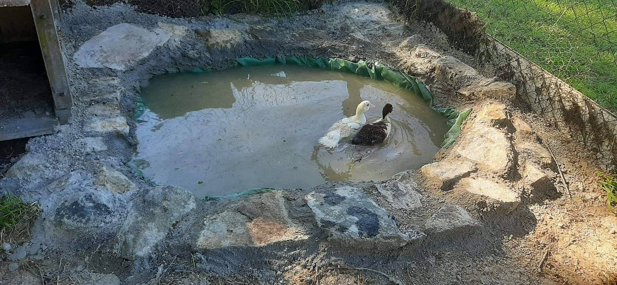 Daisy Et Julia participe au concours pour gagner de l'argent avec cette photo : mineral_spring, pond, rock, sinkhole, water