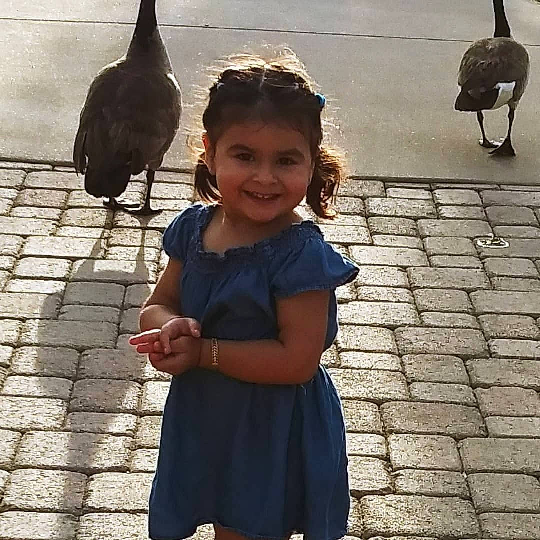 Isamar joined the competition — help win amazing prizes! beak, bird, child, happy, head, joy, metal, neck, person, photography, pigeons_and_doves, snapshot, vacation, wing