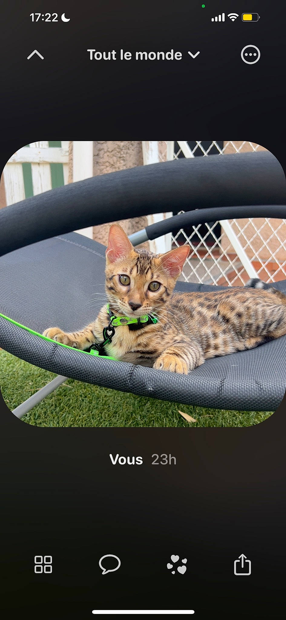 Tixo a rejoint le concours — aidez-le/la à gagner de superbes lots ! auto_part, automotive_exterior, automotive_mirror, carnivore, cat, comfort, fawn, felidae, fur, grass, photo_caption, rear_view_mirror, small_to_medium_sized_cats, snout, tail, terrestrial_animal, vehicle, vehicle_door, whiskers, wildlife