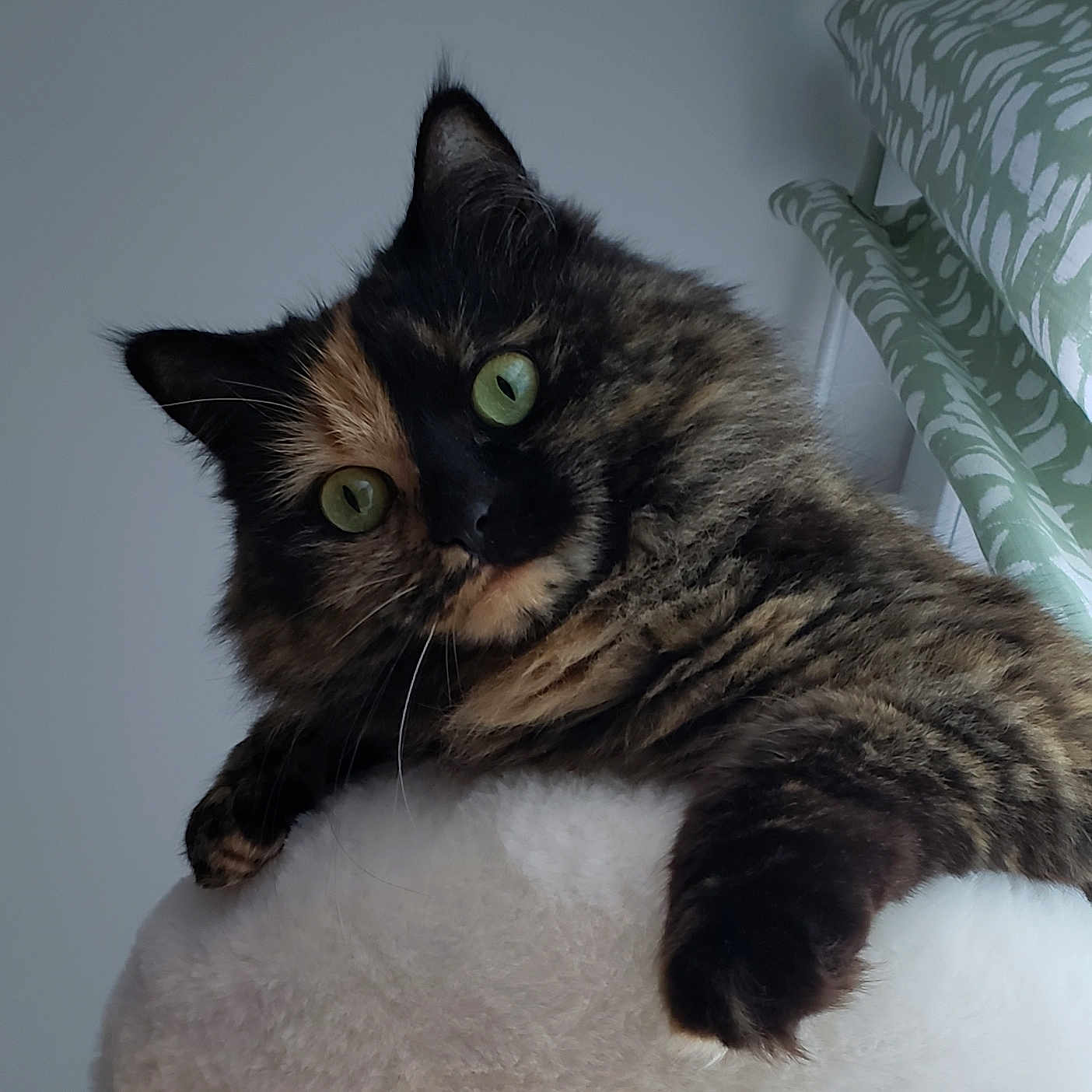 Aïko