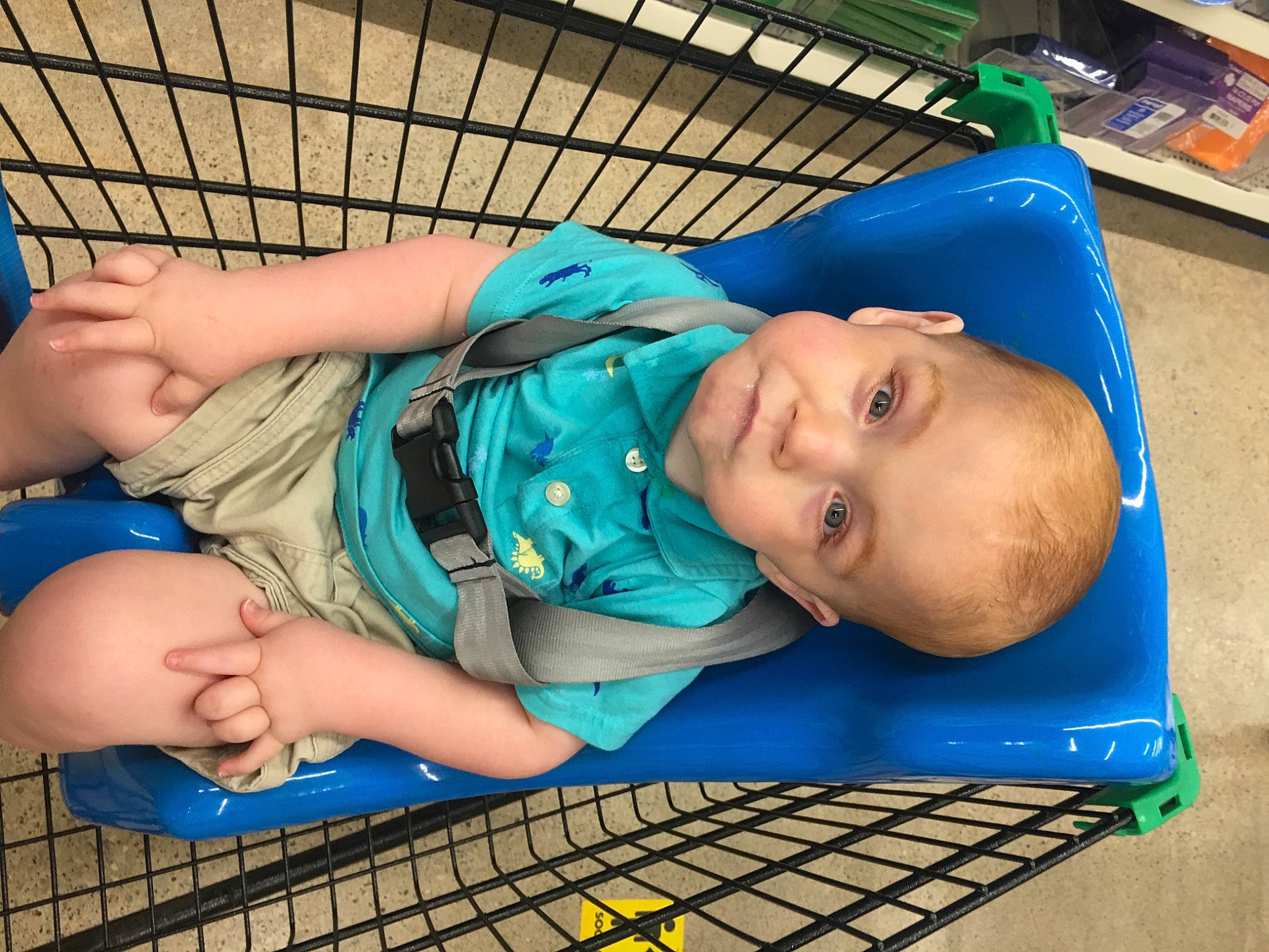 Xzavier Yowger is registered to the contest to win money with this photo: baby, baby_products, baby_safety, baby_toddler_clothing, blue, child, comfort, electric_blue, flooring, fun, hat, human_body, leisure, mouth, person, play, shelf, skin, smile, thigh