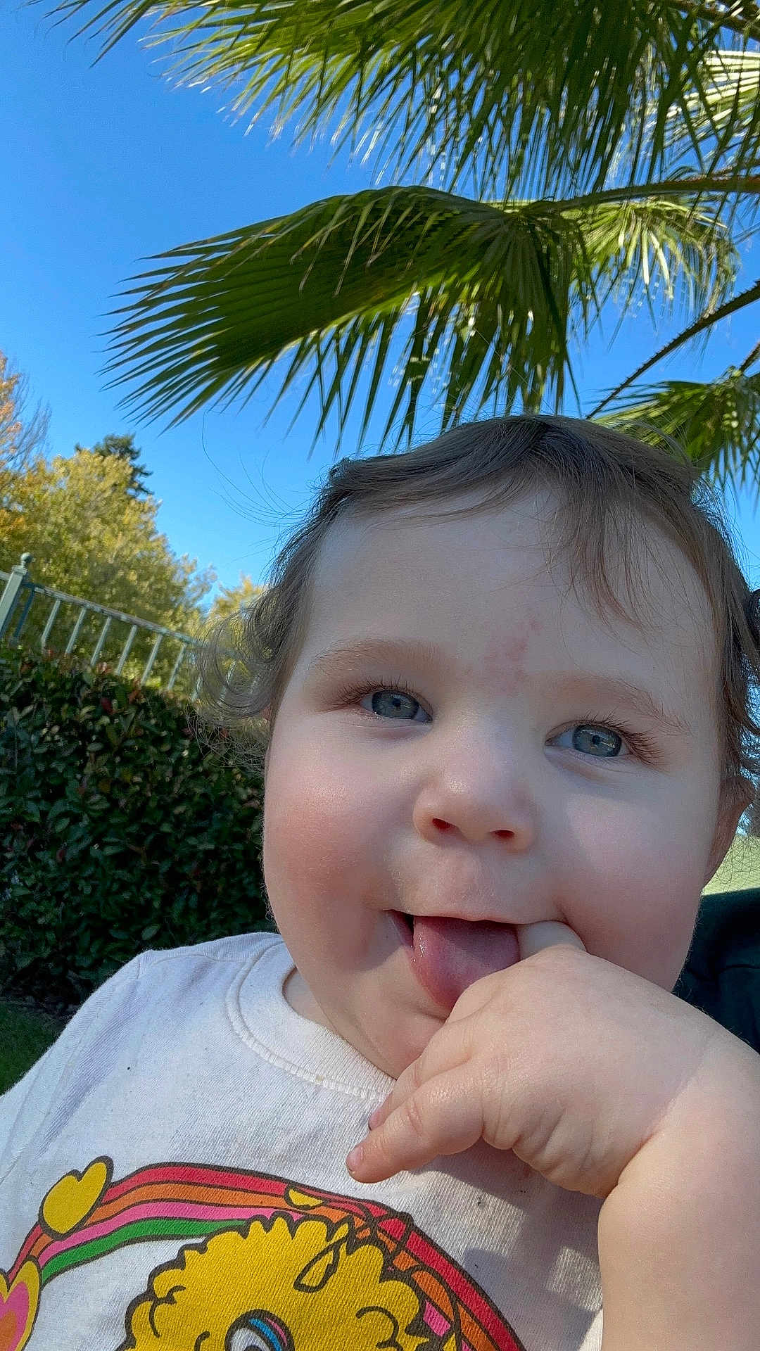 Troy joined the competition — help win amazing prizes! toddler, child, smiling, tongue_out, hand, blue_eyes, curly_hair, outdoor, daylight, greenery, palm_tree, sky, playful, cute, shirt, colorful_print, face, happy, nature, portrait