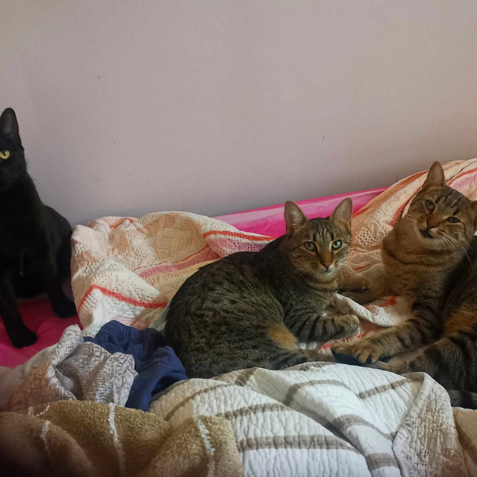 Les Frèrits N'Gou