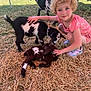 child, curly_hair, pink_clothing, baby_goat, goat, hay, outdoor, animal, petting, grass, fence, sunlight, crouching, smiling, shoes, nature, farm, young_child, playful, cute