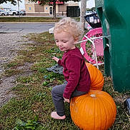 Colton joined the competition — help win amazing prizes! child, toddler, pumpkin, barefoot, curly_hair, outdoor, grass, toy, trash_bin, street, building, tree, playful, casual, fall, nature, side_view, clothing, curious, daytime