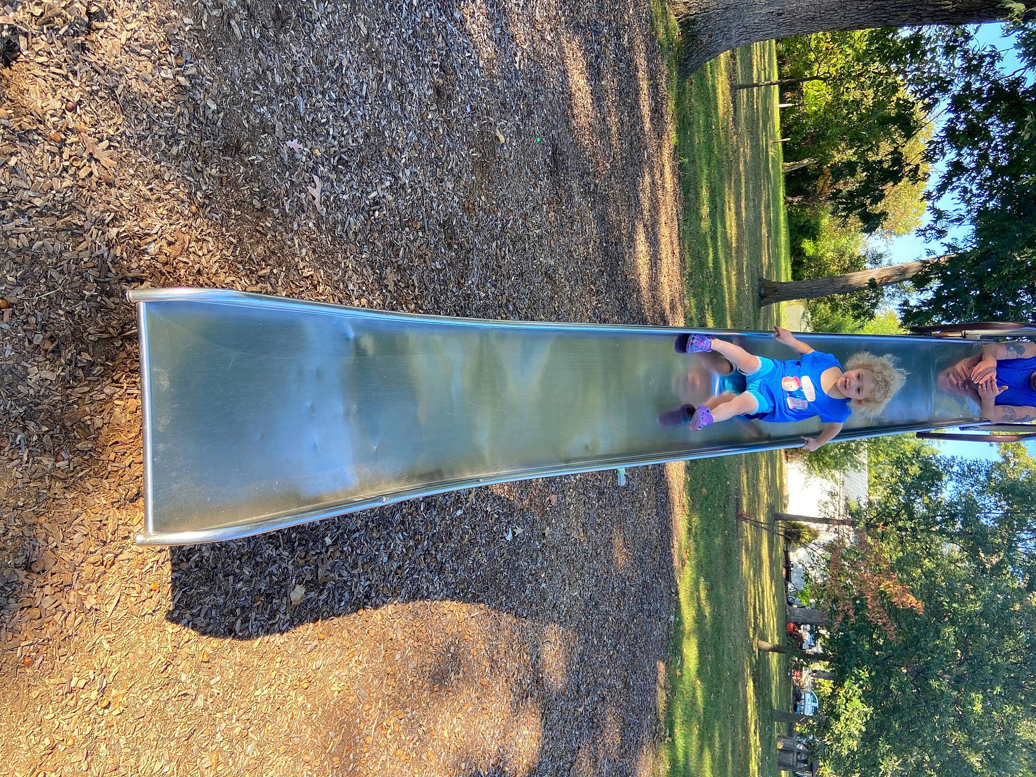 Allison joined the competition — help win amazing prizes! art, automotive_exterior, biome, electric_blue, flag, forest, grass, landscape, metal, person, plant, pole, shade, shadow, shrub, soil, tints_and_shades, tree, trunk, vegetation