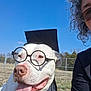 dog, white_dog, pet, graduation_cap, glasses, outdoor, blue_sky, fence, grass, tongue_out, happy, closeup, face, collar, person_partial, sunglasses, smile, portrait, park, costume