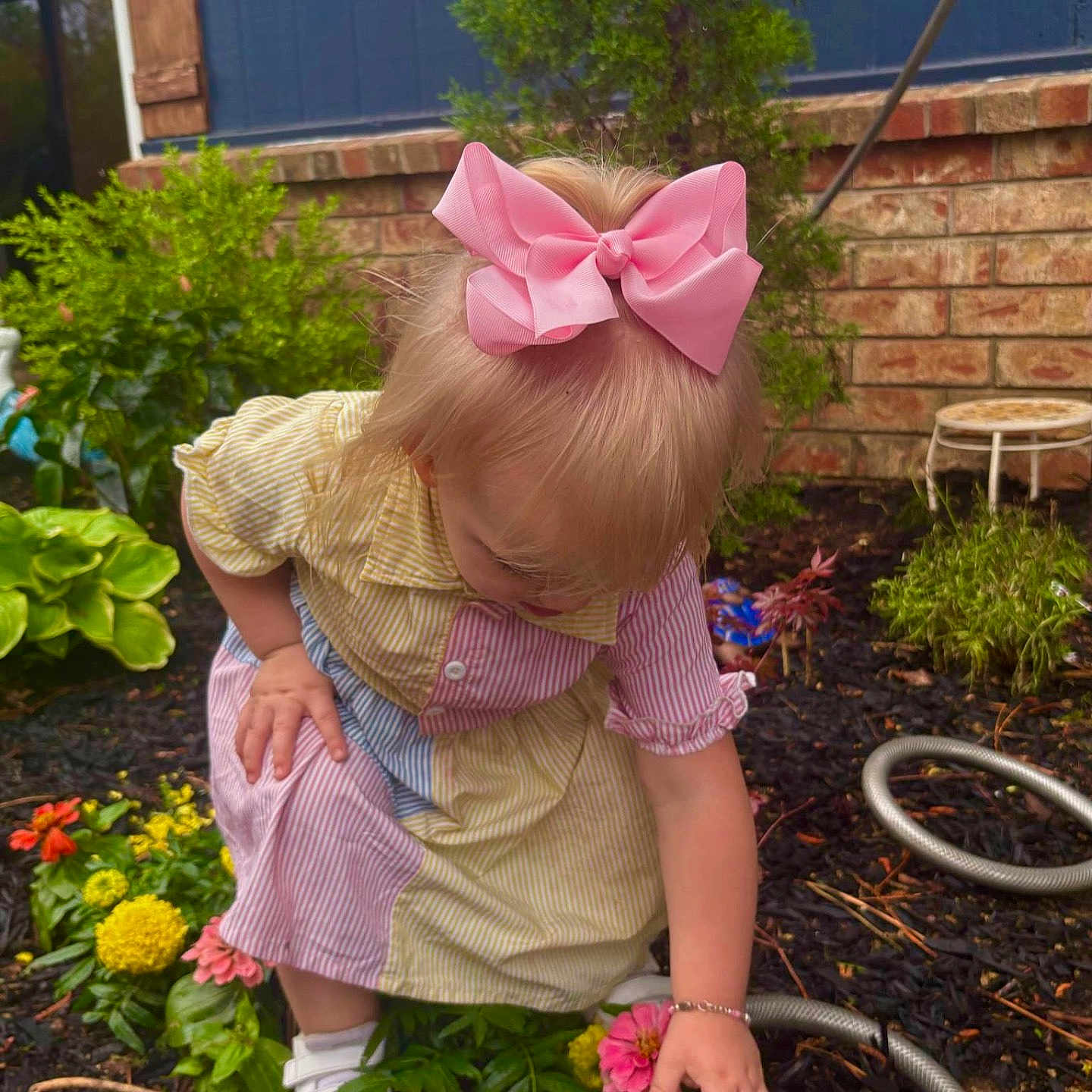 Hollis joined the competition — help win amazing prizes! bracelet, brick_wall, child, colorful_clothing, crouching, curious, daylight, dress, flower, garden, greenery, hose, nature, outdoor, pink_bow, plants, small_plant, toddler, white_shoes, yard