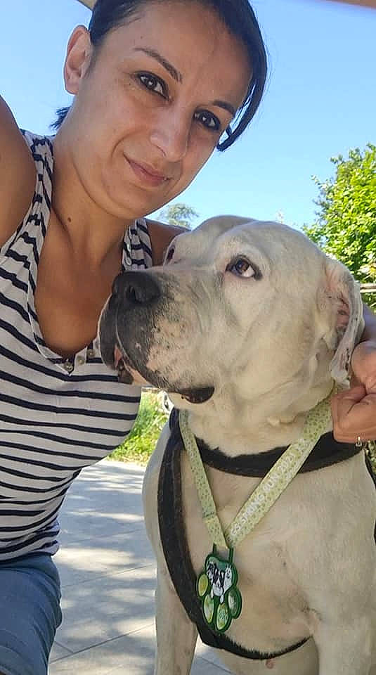 Iron a rejoint le concours — aidez-le/la à gagner de superbes lots ! canidae, carnivore, collar, companion_dog, dog, dog_breed, dog_collar, fashion_accessory, fawn, fun, happy, leash, recreation, sky, smile, snout, sporting_group, tree, working_animal, wrinkle