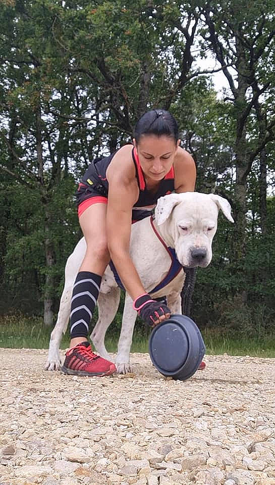 Iron a rejoint le concours — aidez-le/la à gagner de superbes lots ! animal_sports, ball, carnivore, companion_dog, dog, dog_breed, dog_collar, dog_supply, grass, human_leg, knee, leash, recreation, shorts, sock, sports, sports_uniform, sportswear, thigh, tree