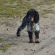Indy participe au concours pour gagner de l'argent avec cette photo :
