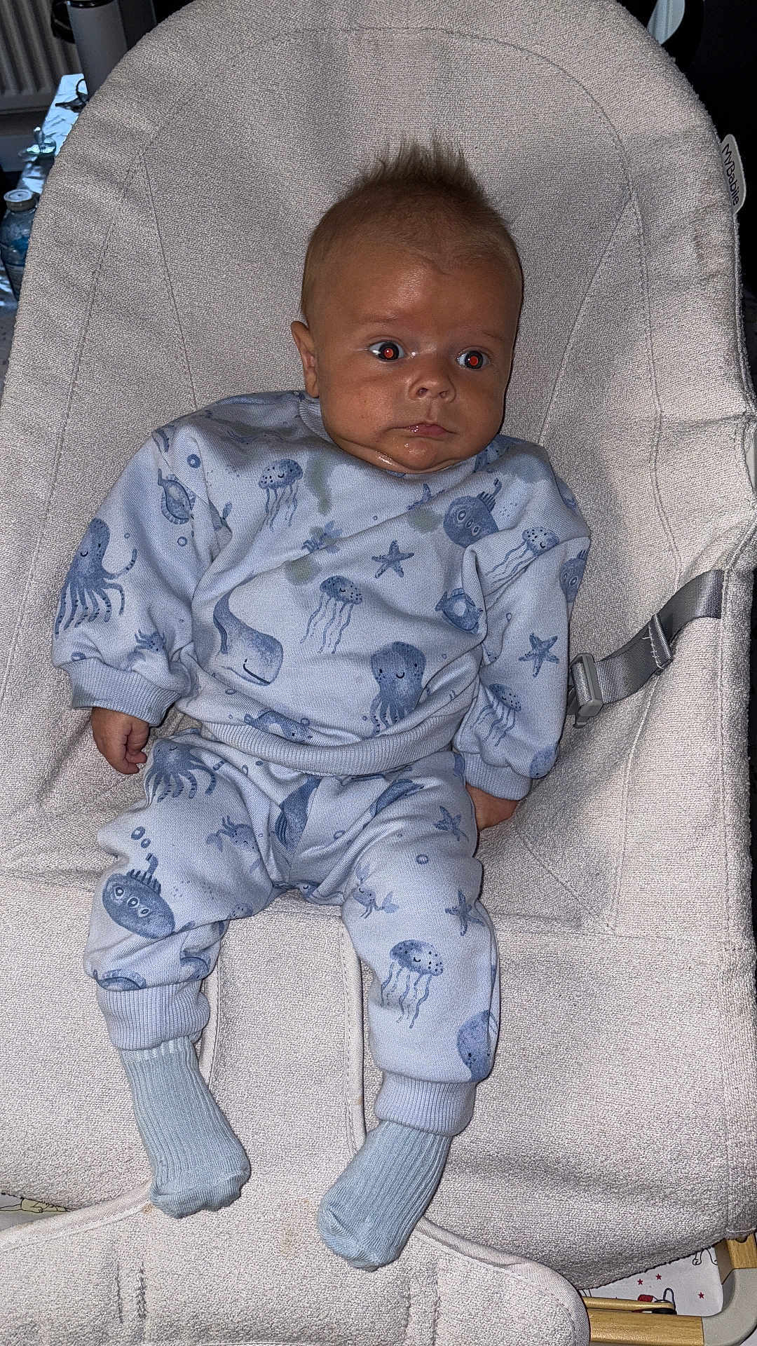 Reggie is registered to the contest to win money with this photo: baby, infant, child, baby_chair, clothing, blue_outfit, socks, face, hair, mohawk, sea_creatures, octopus, jellyfish, starfish, indoor, soft_fabric, baby_seat, cute, portrait, curious