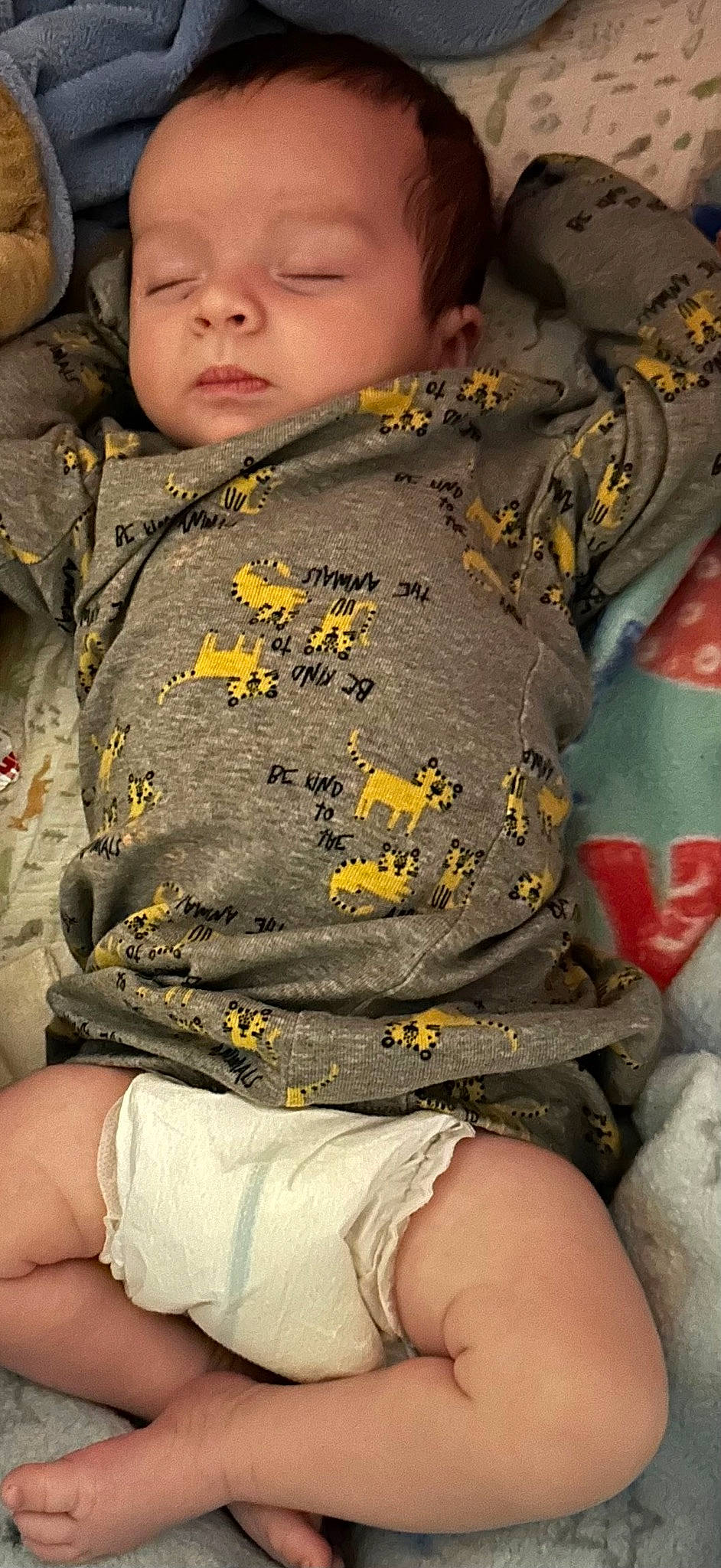 Jaxton is registered to the contest to win money with this photo: baby, child, fun, fur, green, hoodie, human_leg, joint, military_camouflage, pattern, people_in_nature, person, photograph, sitting, sleeve, t_shirt, thigh, toddler, top, waist