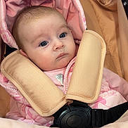 Mia-Mae is registered to the contest to win money with this photo: baby, infant, pink_clothing, stroller, seat_belt, padded_straps, face, head, wide_eyes, curious, quilted_background, close_up, child, young, indoors, soft_lighting, portrait, baby_girl, warm_colors, cuteness