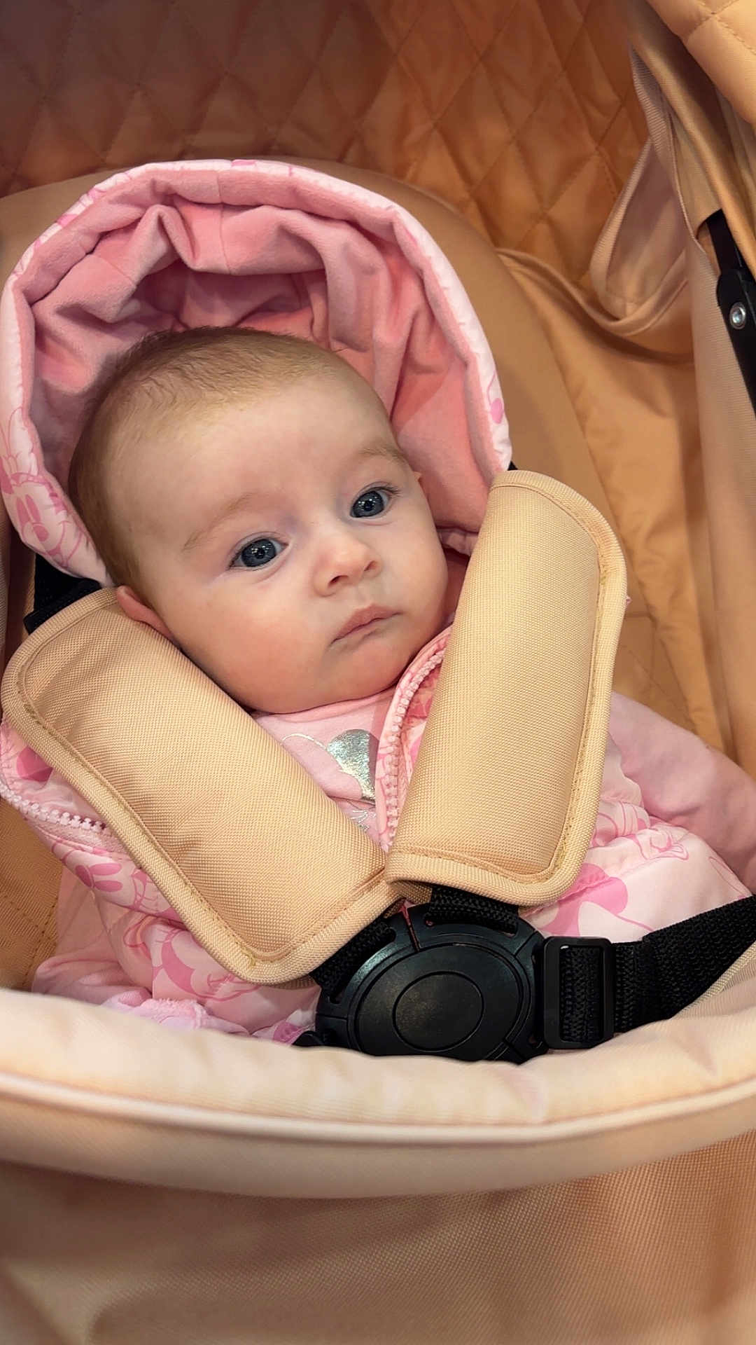 Mia-Mae is registered to the contest to win money with this photo: baby, infant, pink_clothing, stroller, seat_belt, padded_straps, face, head, wide_eyes, curious, quilted_background, close_up, child, young, indoors, soft_lighting, portrait, baby_girl, warm_colors, cuteness