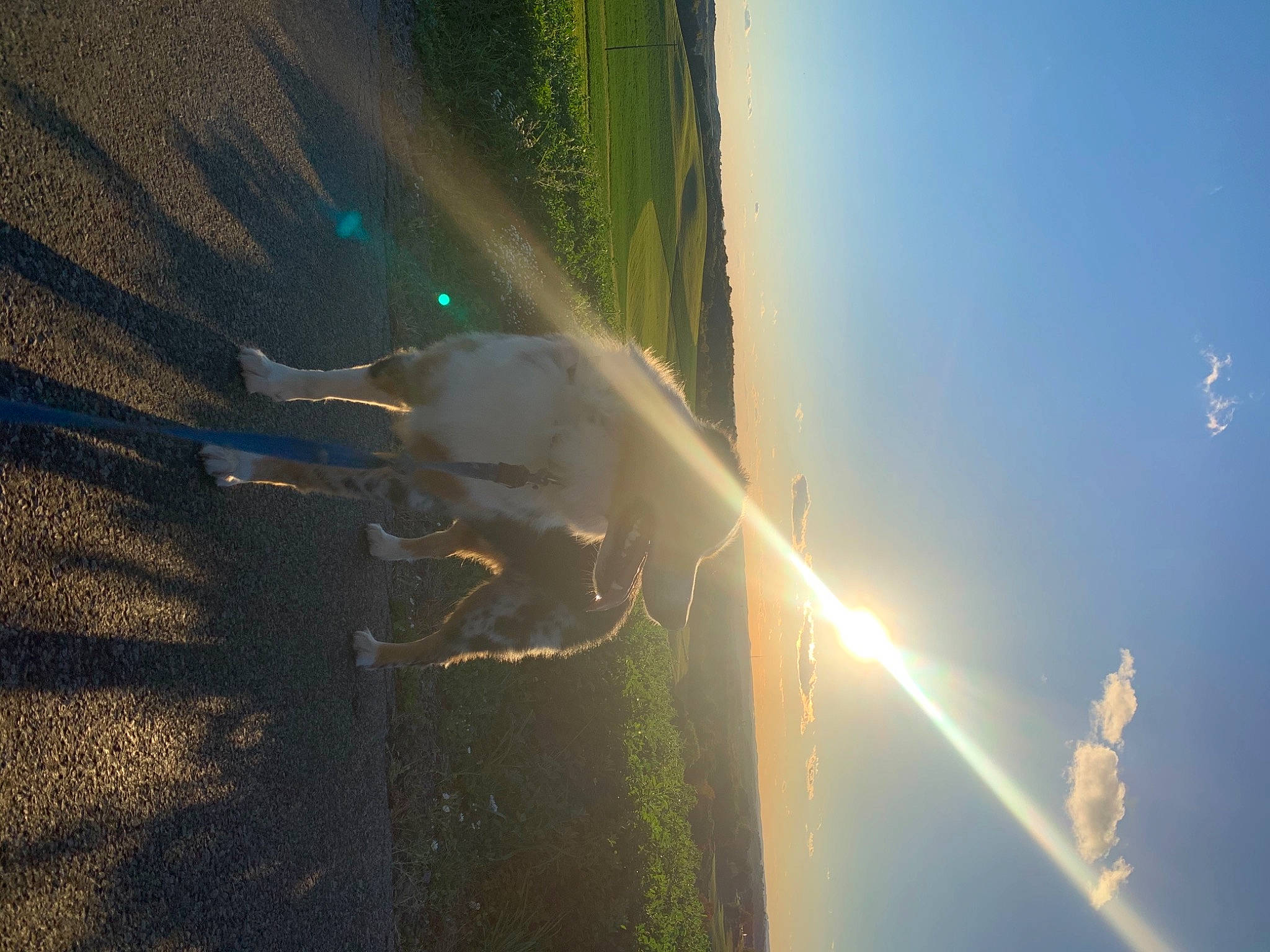 Fernando is registered to the contest to win money with this photo: lens_flare, light, sky, sunlight