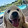 Marley