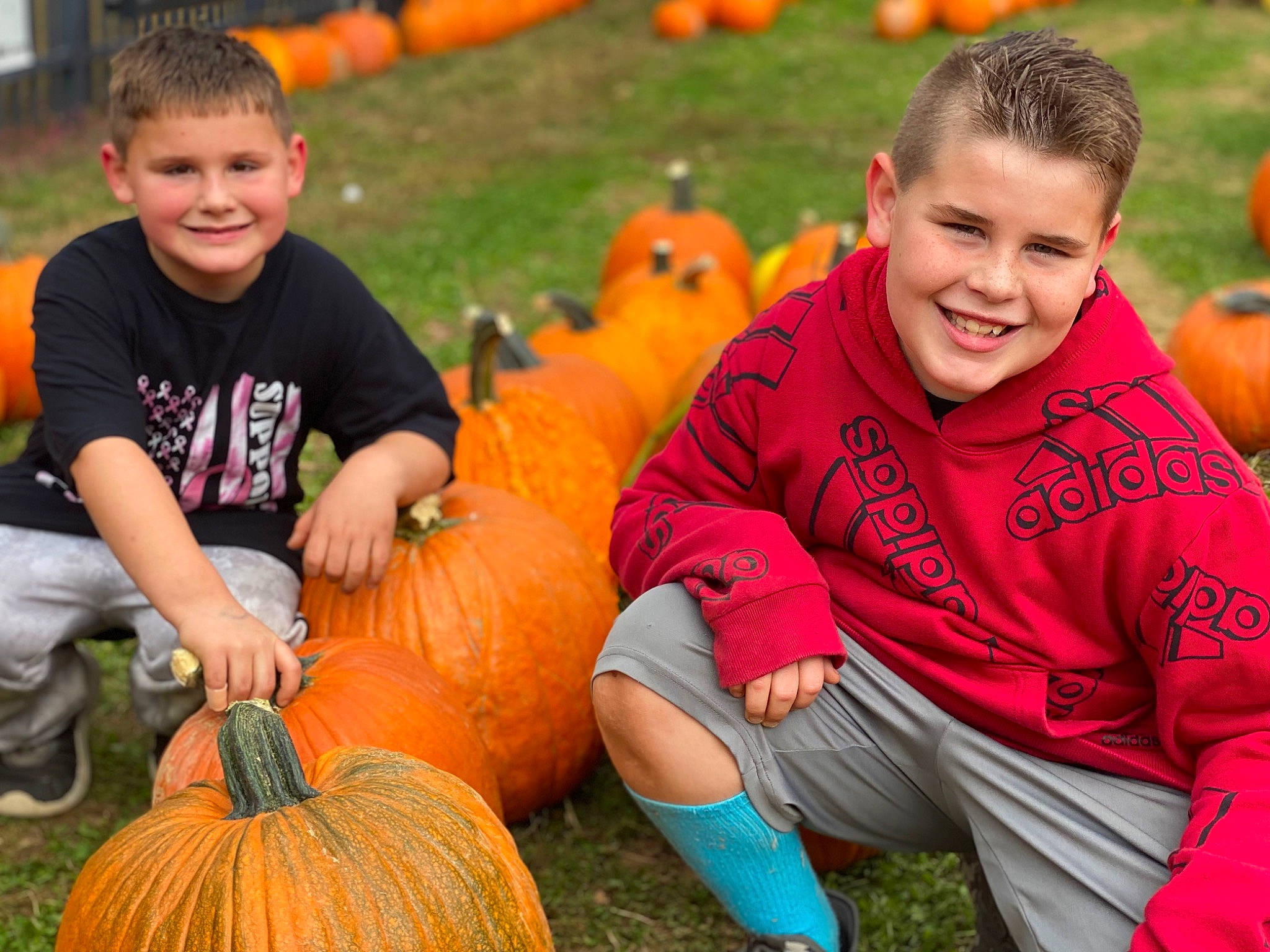 Dayton is registered to the contest to win money with this photo: calabaza, clothing, cucurbita, eye, facial_expression, green, head, human_body, jeans, joy, leaf, nature, orange, person, photograph, plant, pumpkin, shorts, smile, squash