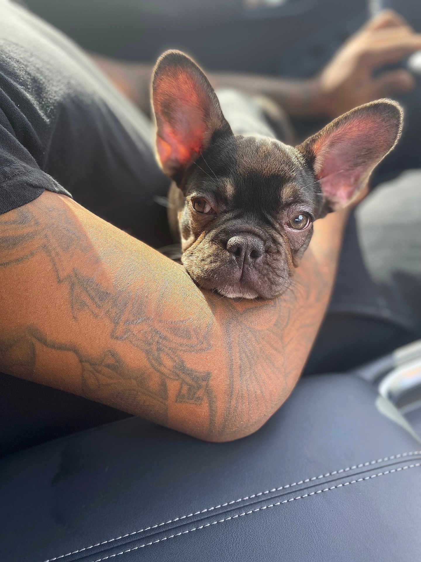 Millie