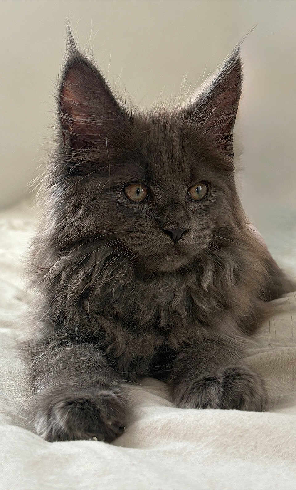 Ares