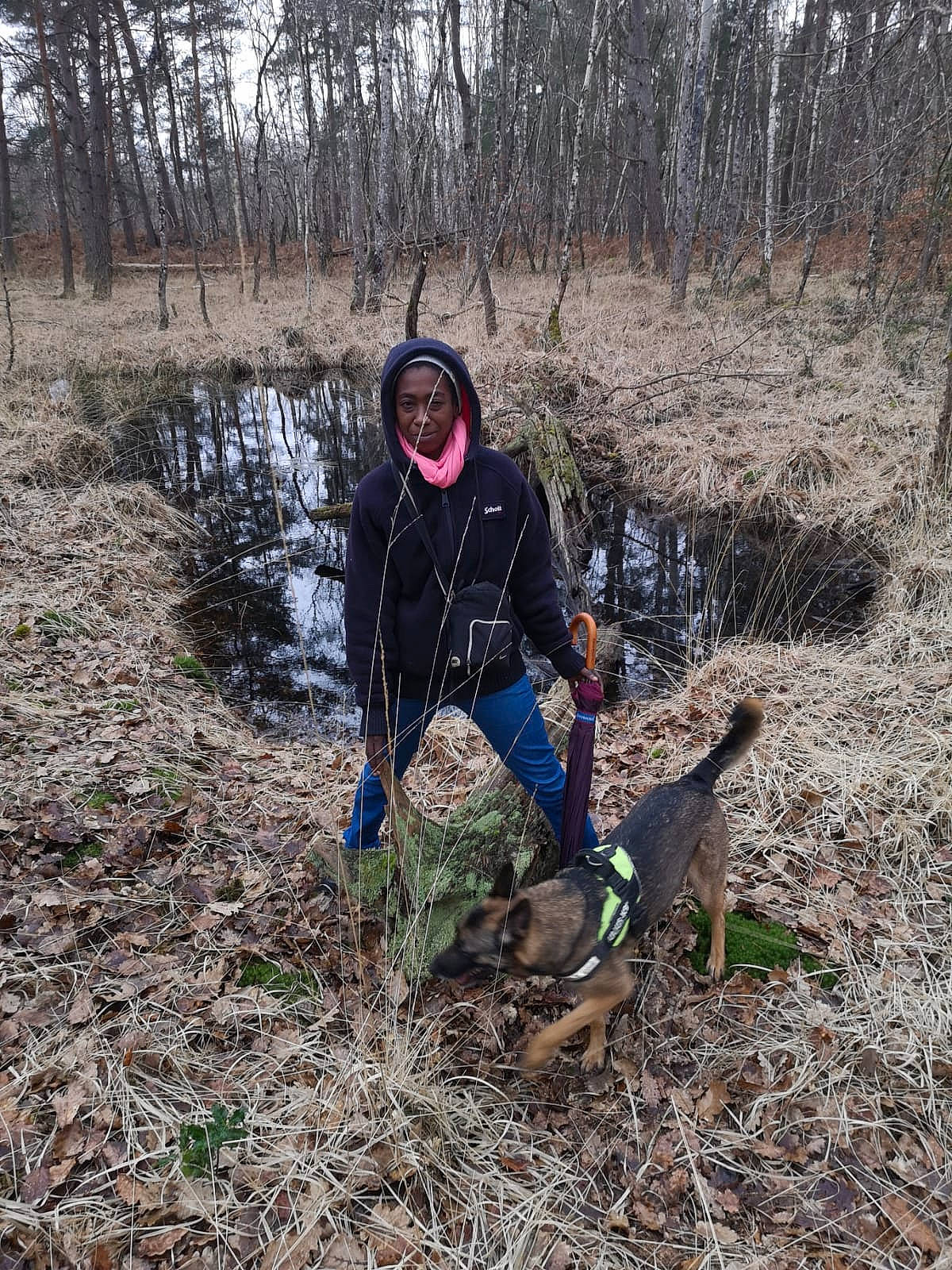 Sandy a rejoint le concours — aidez-le/la à gagner de superbes lots ! bog, canidae, carnivore, forest, grass, grassland, natural_landscape, people_in_nature, plant, recreation, shrubland, soil, sporting_group, terrestrial_animal, tree, wilderness, wildlife, winter, wood, woodland