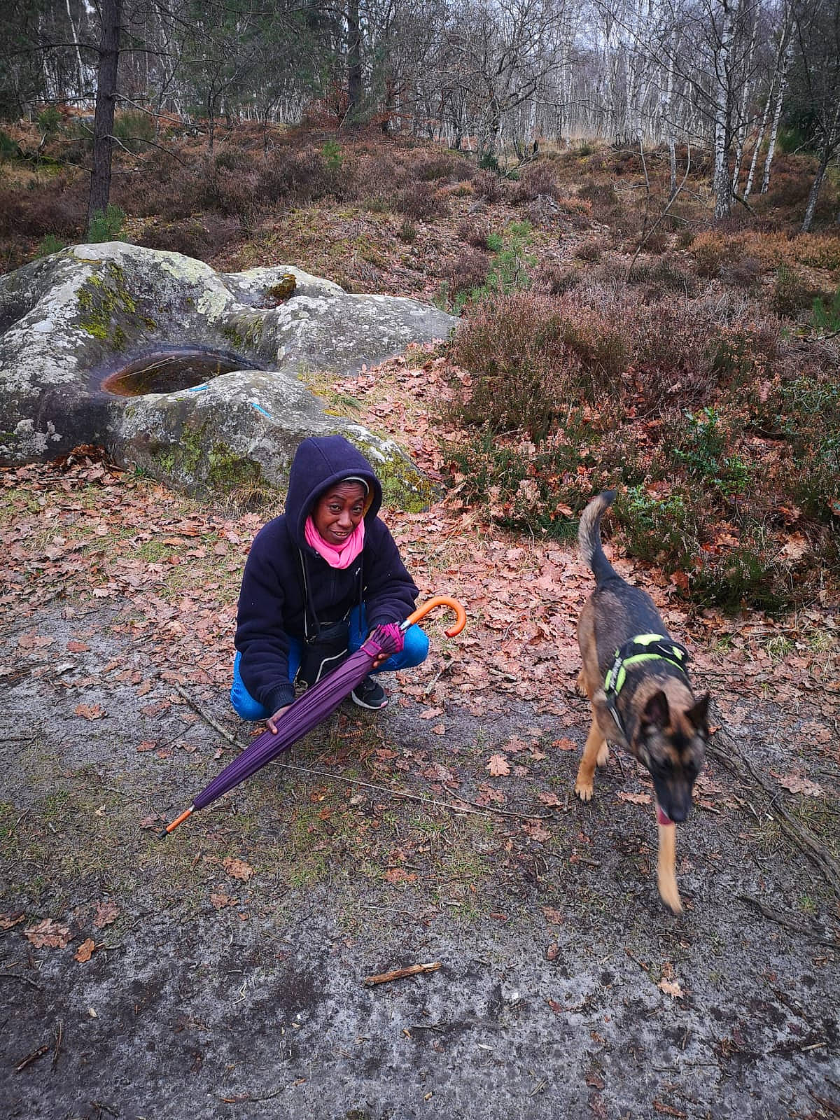 Sandy participe au concours pour gagner de l'argent avec cette photo : adventure, canidae, carnivore, dog, dog_breed, forest, fun, grass, landscape, leisure, people_in_nature, plant, recreation, soil, sporting_group, tail, toddler, tree, winter, woodland