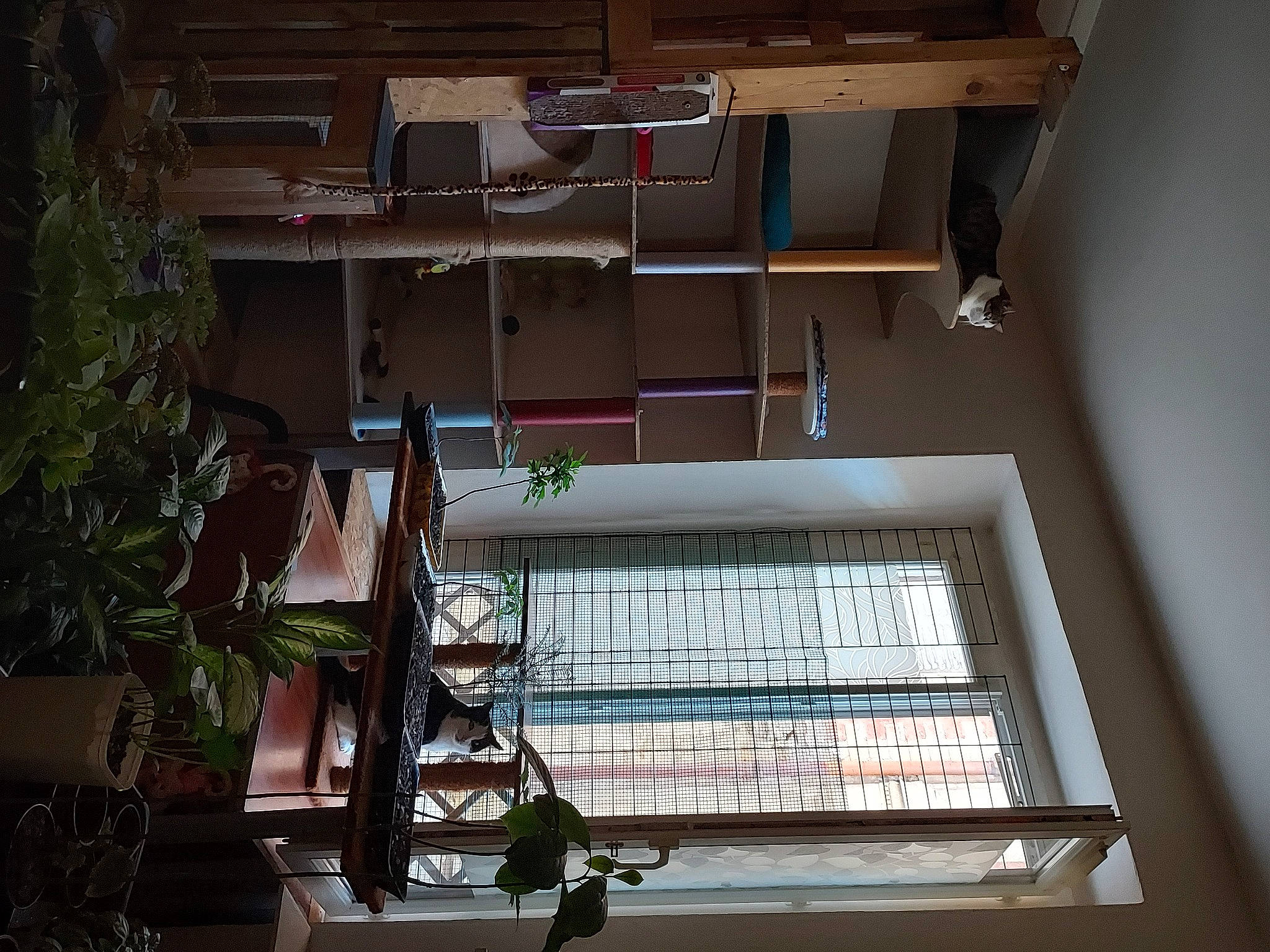 Gandja Et Gwada a rejoint le concours — aidez-le/la à gagner de superbes lots ! beam, building, facade, fixture, floor, flooring, flowerpot, hardwood, house, houseplant, interior_design, material_property, plant, real_estate, shelving, stairs, tints_and_shades, urban_design, window, wood