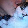 Muffin is registered to the contest to win money with this photo: cat, person, pet, affection, kiss, close_up, portrait, selfie, whiskers, fur, white_fur, gray_fur, green_eyes, animal, companion, indoors, cozy, blue_lighting, blurred, face