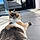Minette