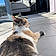 Minette